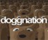 Doggnation